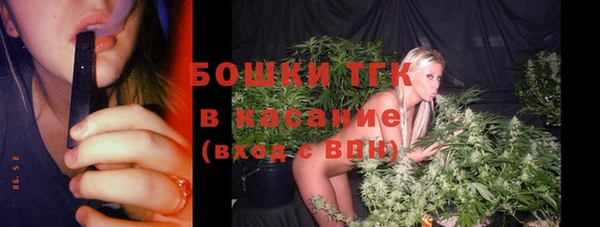 apvp Алзамай