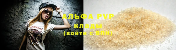 прущие грибы Гусиноозёрск
